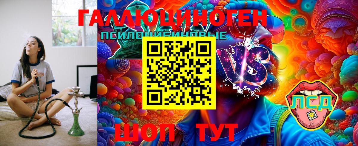 Галлюциногенные грибы Psilocybe Сосновоборск
