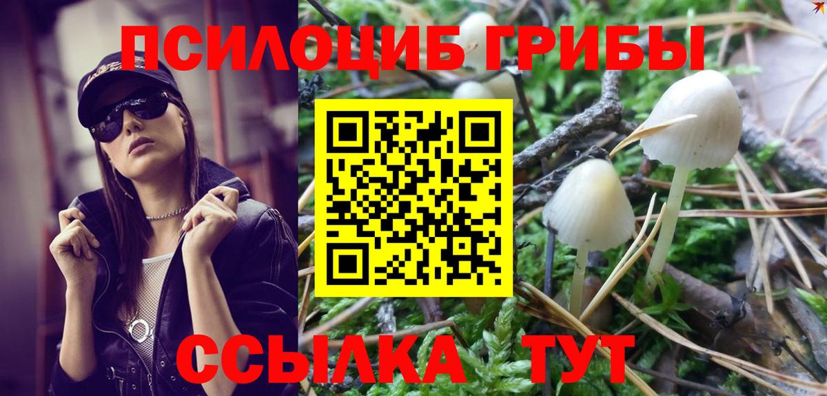 Сосновоборск  Галлюциногенные грибы Magic Shrooms  Вход с VPN 